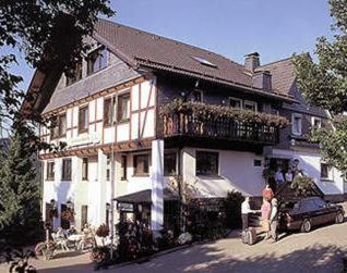 Pension Zur Schonen Aussicht Hallenberg Exteriör bild