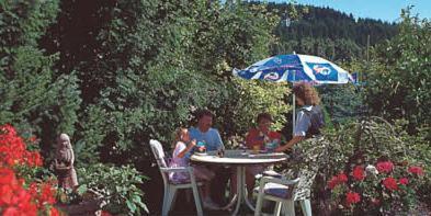 Pension Zur Schonen Aussicht Hallenberg Exteriör bild